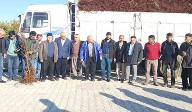 Çiftçiye devlet destekli badem fidanı!