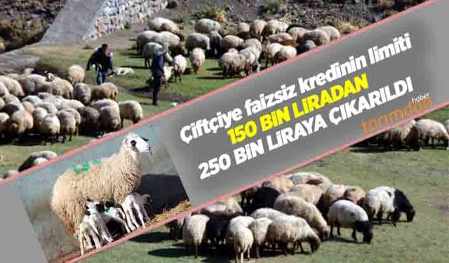 Çiftçiye faizsiz kredinin limiti 150 bin liradan 250 bin liraya çıkarıldı!