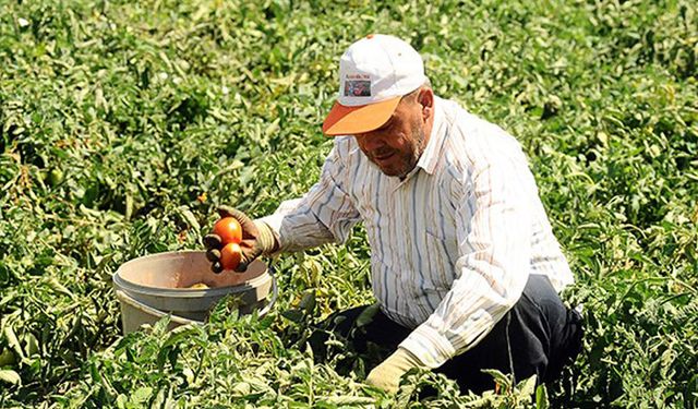 Dünya Bankası’ndan tarım sektörüne 341 milyon dolarlık kredi