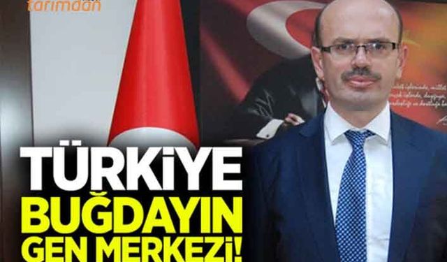 Emiralioğlu: Türkiye buğdayın gen merkezi