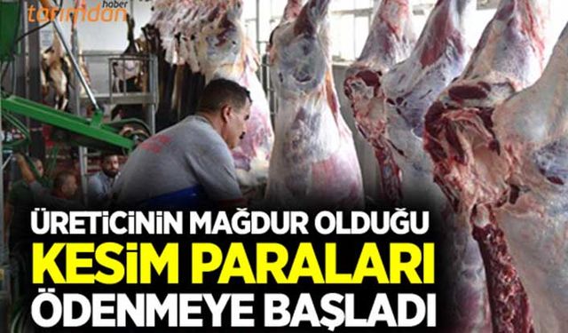 ESK hayvan kesim paralarını ödemeye başladı