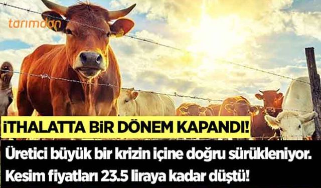 Et ve Süt Kurumu canlı hayvan ithalatından çekildi!