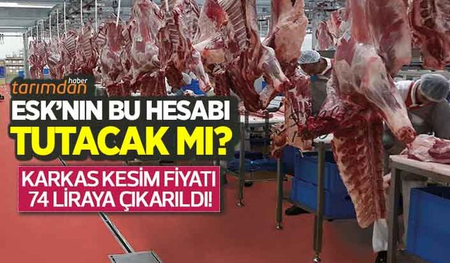 Et ve Süt Kurumu karkas kesim fiyatını 74 liraya yükseltti!  