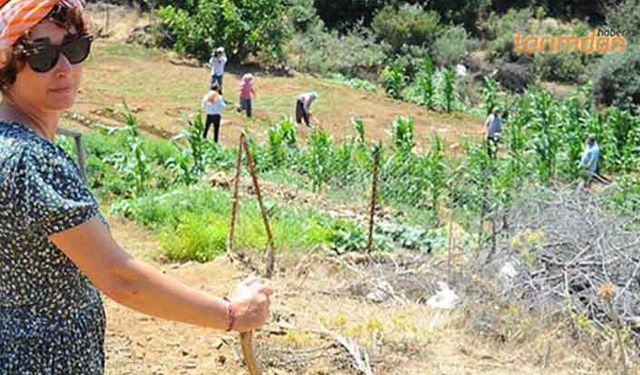 Et ve Süt Kurumu’nu göreve davet etti!