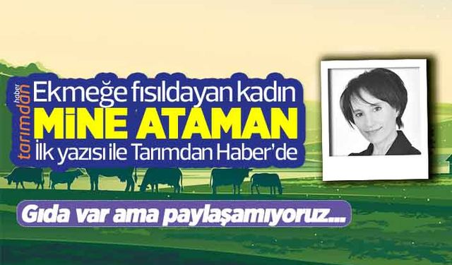 Gıda var ama paylaşamıyoruz!