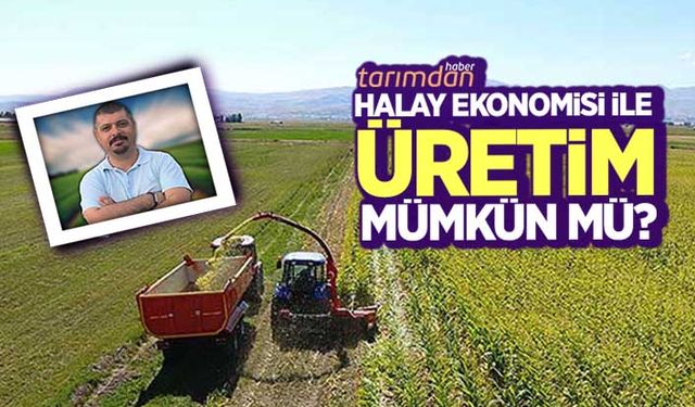 Halay ekonomisi ile üretim mümkün mü?