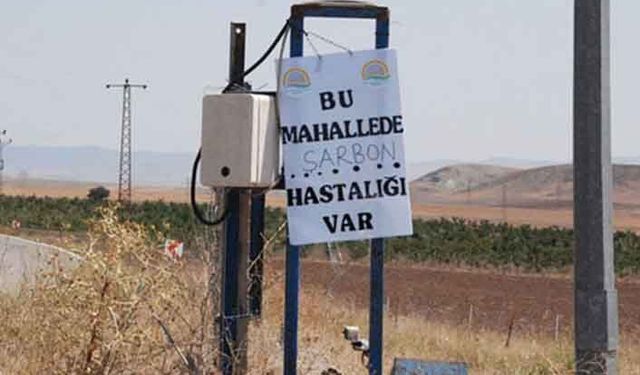 Hastalıkla hayvanlar nasıl ithal edildi?