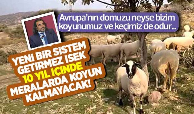 İçimden geldiği gibi ülkemiz hayvancılığında koyun ve keçicilik! 