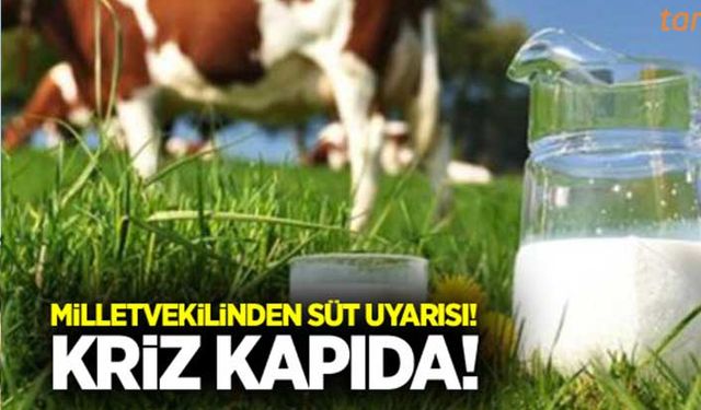 Milletvekilinden süt krizi uyarısı!