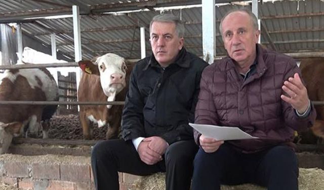 Muharrem İnce tarım politikalarını ahırda anlattı