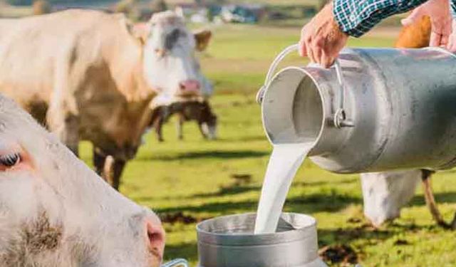 Süt fiyatları ne olacak? Üretici 1 litre süte 1 kg yem alamıyor!