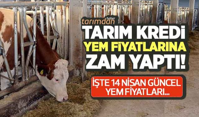 Tarım Kredi yem fiyatlarına zam yaptı! İşte 14 Nisan güncel yem fiyatları