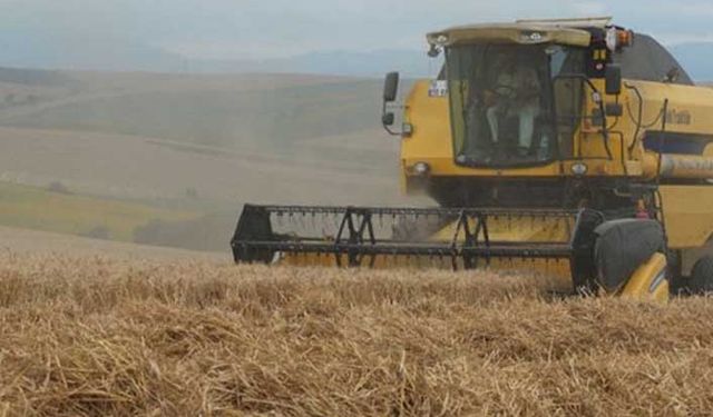 TMO'dan çiftçinin tepkisini çeken ithalat hamlesi! Hasat ortasında buğday ithal edilecek!