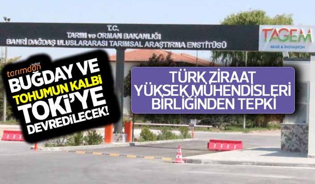 Türk Ziraat Yüksek Mühendisleri Birliği: Buğday ve tohumun kalbi TOKİ'ye devredilecek!