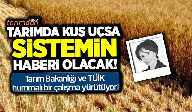 Acil tarım sayımı yapılmalı! TÜİK'ten 'Tarım Entegre Sistemi'