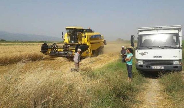 Arpa buğday fiyatları bugün ne kadar oldu? (23 Mayıs) Güncel hububat fiyatları: Arpa, buğday, mısır, yulaf fiyatları son durum! 