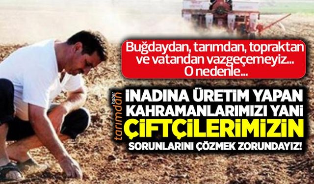 Buğday, Tarım, Toprak ve Vatan