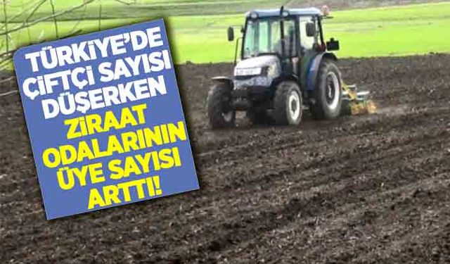 Çiftçi sayısı düşerken ziraat odalarının üye sayısı arttı!