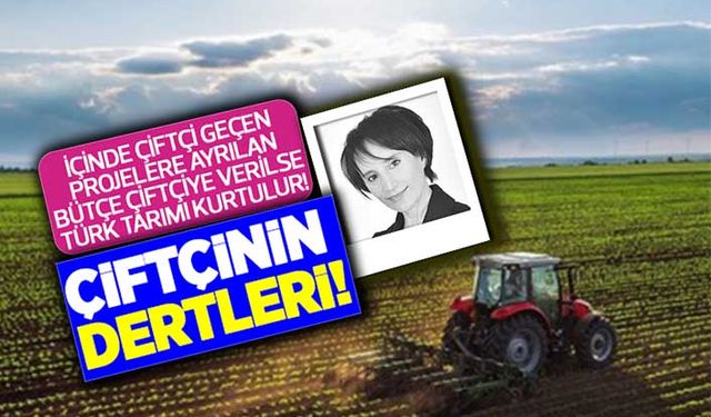 Çiftçinin dertleri!