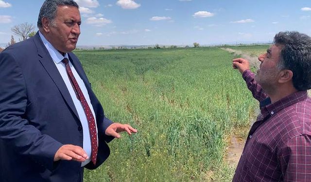 Çiftçiye gübre şoku! Gübresiz ekim yaptı verimi yarıdan fazla düştü! Hangi gübre kaç lira? İşte 22 Mayıs gübre fiyatları!