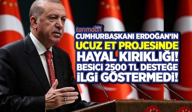 Cumhurbaşkanı Erdoğan'ın ucuz et projesinde tam bir hayal kırıklığı! Besici 2500 lira desteğe ilgi göstermedi!