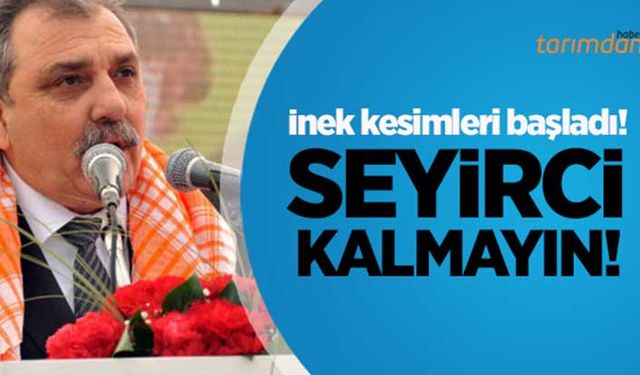 Eskiyörük: “Çaresiz kalan çiftçi, ineklerini kesiyor”