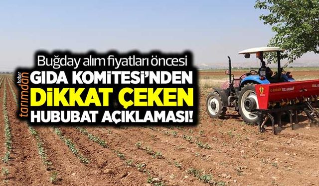 Gıda Komitesi'nden dikkat çeken hububat açıklaması! Bu açıklama buğday üreticisini yakından ilgilendiriyor!