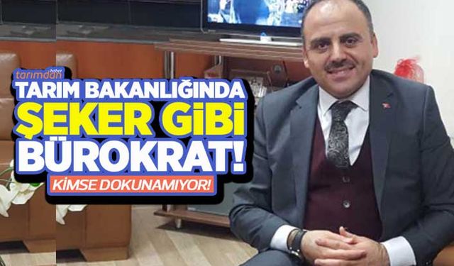 Türkşeker'de şeker paketleme işi de yandaş firmaya! Şeker gibi bürokrata dokunulmuyor!