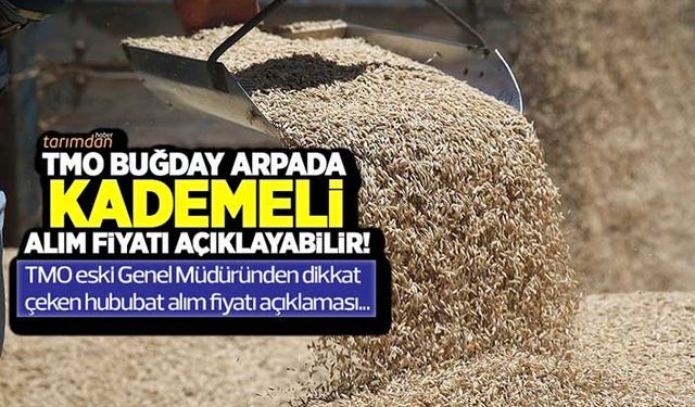 TMO buğday arpada kademeli alım fiyatı açıklayabilir! Eski genel müdürden dikkat çeken TMO hububat alım fiyatı açıklaması!