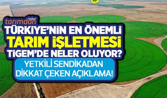 Türkiye'nin en önemli tarım işletmesi TİGEM'de neler oluyor? Öz Orman-İş Sendikası'ndan açıklama!