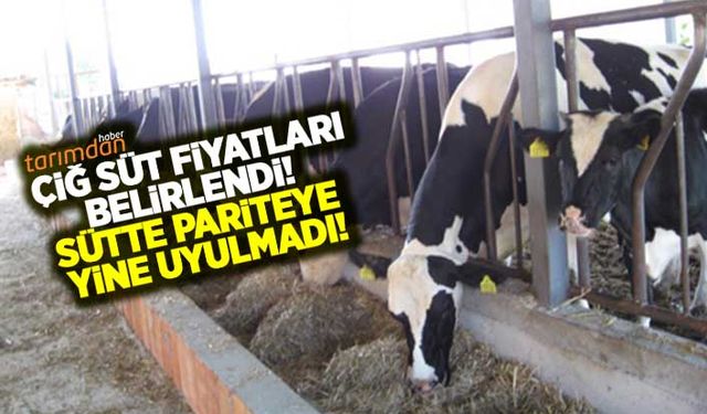 Ulusal Süt Konseyi çiğ süt fiyatlarını artırdı! Süt fiyatları kaç lira oldu!