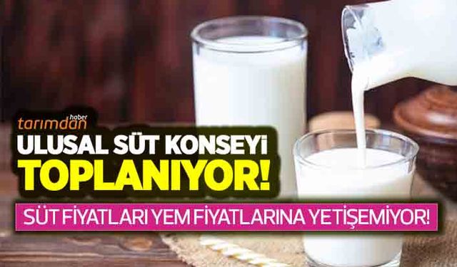 Son dakika: Ulusal Süt Konseyi toplanıyor! Çiğ süt fiyatlarında ne kadar artış yapılacak?