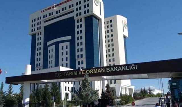 Yem fiyatları 17 kat arttı hayvancılığı bıraktı! Tarım Bakanlığı ahırlara uzaydan mı bakıyor!