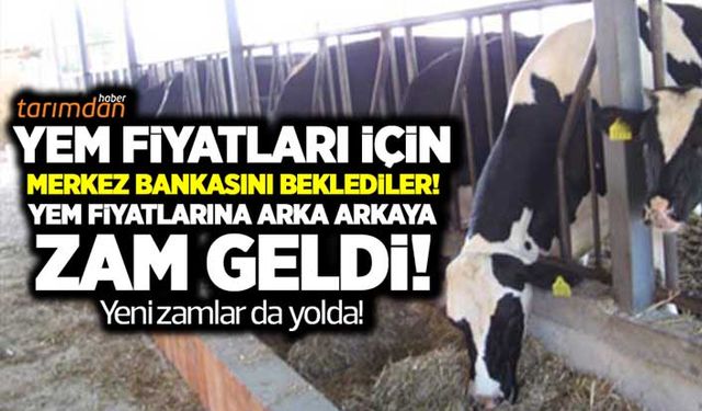 Yem fiyatları için Merkez Bankasını beklediler! Arka arkaya zam geldi! (29 Mayıs) Güncel yem fiyatları kaç TL?