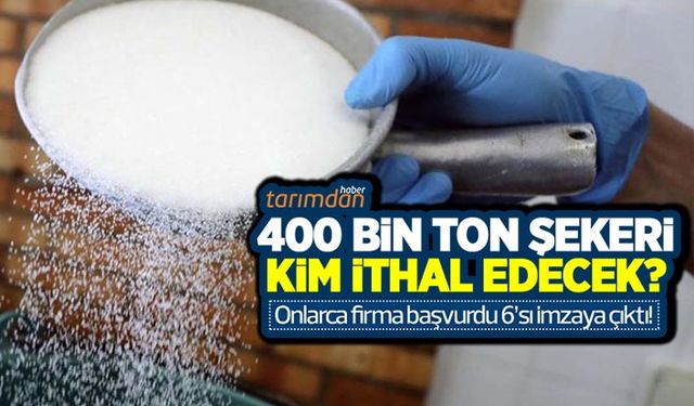400 bin ton şekeri kim ithal edecek? Onlarca firma başvurdu 6'sı imzaya çıktı!