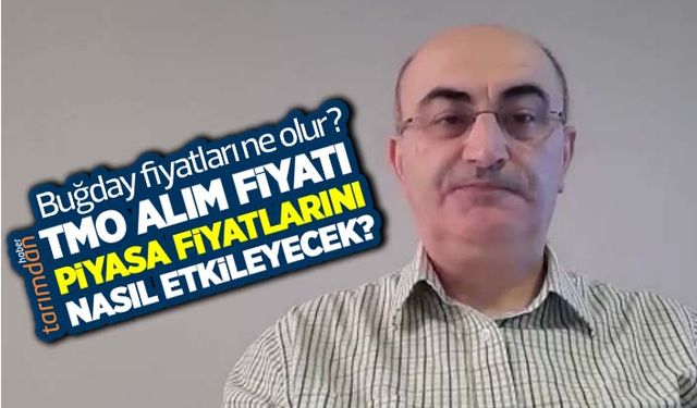 Buğday fiyatları (2022) ne olur? TMO buğday alım fiyatı piyasa fiyatlarını nasıl etkileyecek?