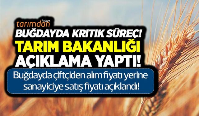 Buğdayda kritik süreç Tarım Bakanlığı açıklama yaptı! Buğday alım fiyatları beklenirken satış fiyatları açıklandı!