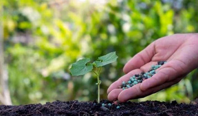 Bugün gübre fiyatları ne kadar? İşte 1 Haziran güncel gübre fiyatları!