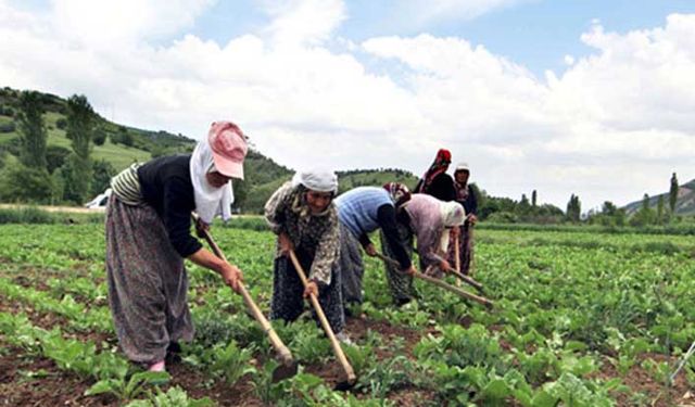Genç kadın çiftçilere destek geliyor