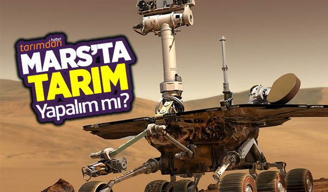 Mars’ta tarım yapalım mı?