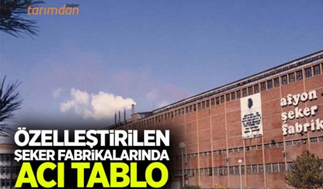 Özelleştirilen şeker fabrikalarında acı tablo!