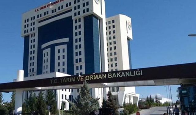 Tarım Bakanlığı Bilgi Teknolojileri Genel Müdürlüğüne atama! Mehmet Tekin Arpacık kimdir?