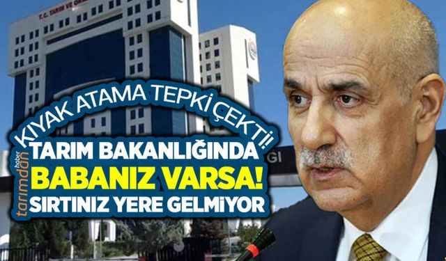 Tarım Bakanlığında kıyak atama! Belediye Başkanının oğlu daire başkanlığına atandı!  