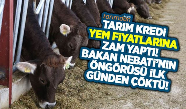 Tarım Kredi yem fiyatlarına zam yaptı! Yem fiyatları kaç lira oldu? İşte 17 Haziran Tarım Kredi Yem fiyat listesi...