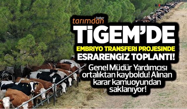 TİGEM'de embriyo transferi projesinde esrarengiz toplantı!