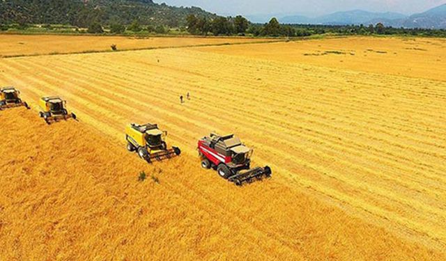TMO Genel Müdürü net tarih verdi! Buğday prim desteği bu tarihte ödenecek!