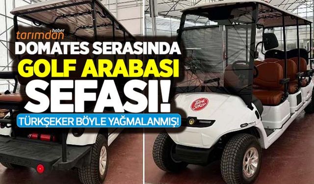 TÜRKŞEKER'de golf arabası sefası! Domates serasını gezmek için golf arabası almışlar!