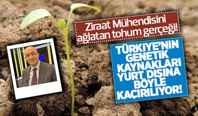 Yusufeli'nin gezici bahçivanları!