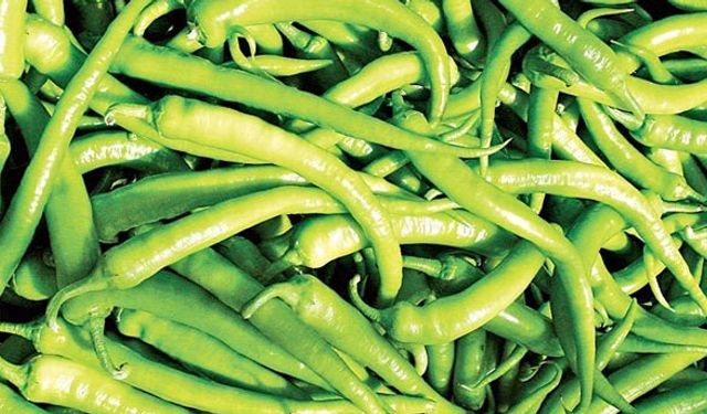 Tarlada 5 TL, halde 9 TL, markette 17 TL