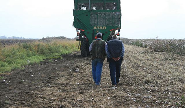 Tarımda birlikte üretime ilave destek verilecek!